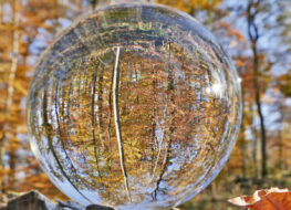 017 -im spätherbst in muttenz